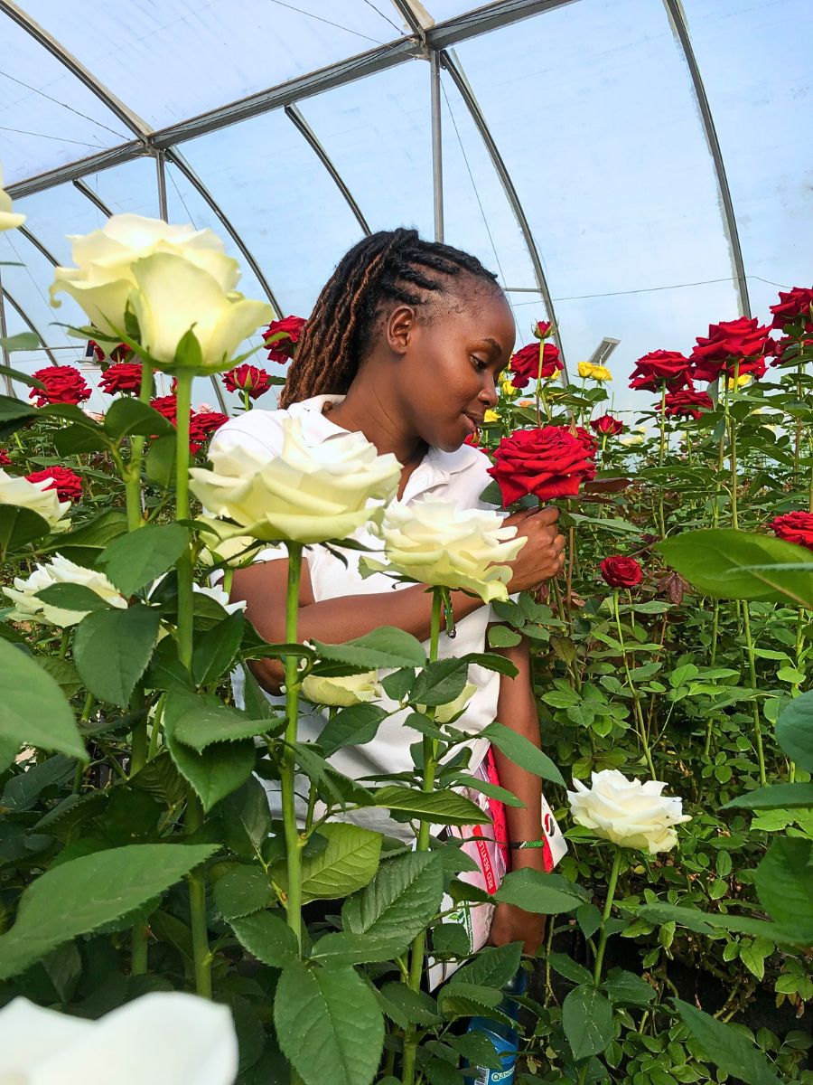 Kenyan Flower Industry