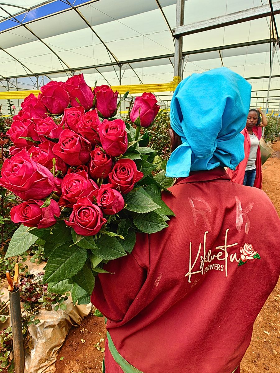 Kenyan Flower Industry