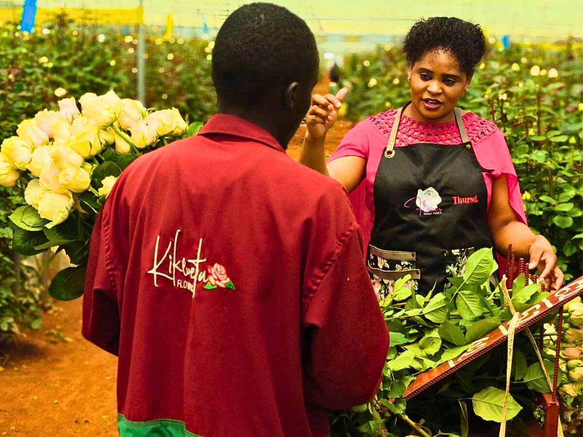 Kenya's Flower Industry