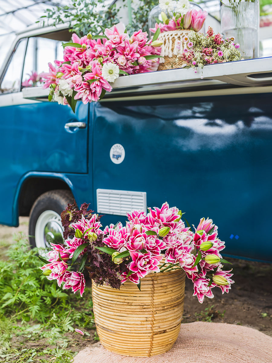 VW van with basket of Roselilies