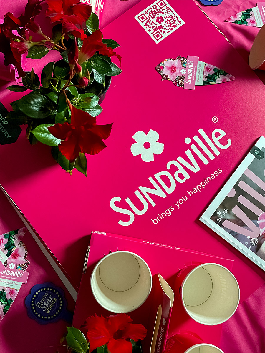 Sundaville branding