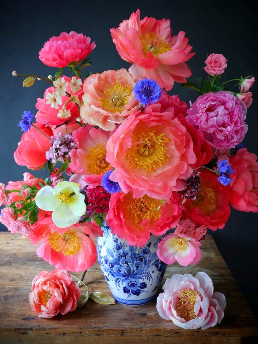 Bright and colorful pinkish flowers in an arrangement