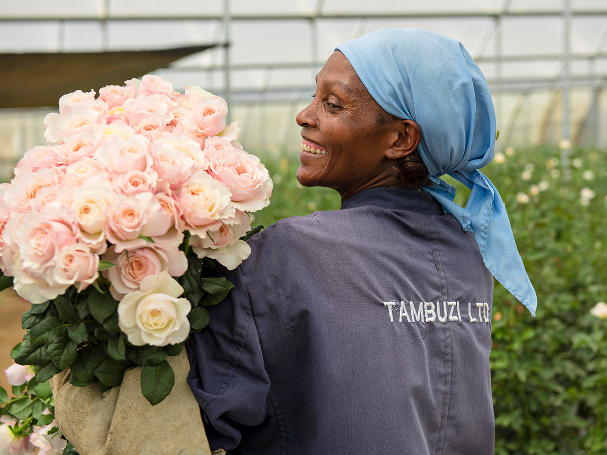 Rose picker lady with pink roses at Tambuzi