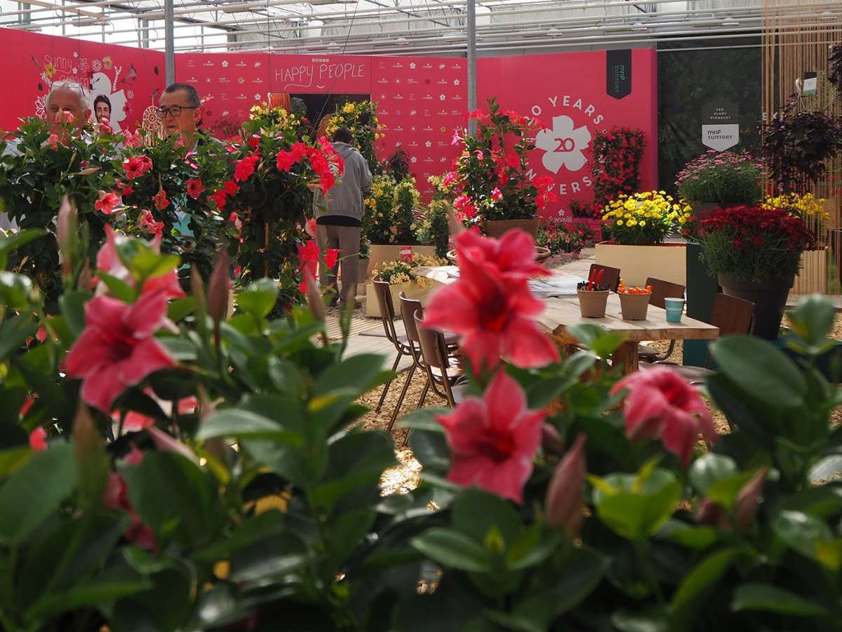FlowerTrials 2023 at MNP Suntory