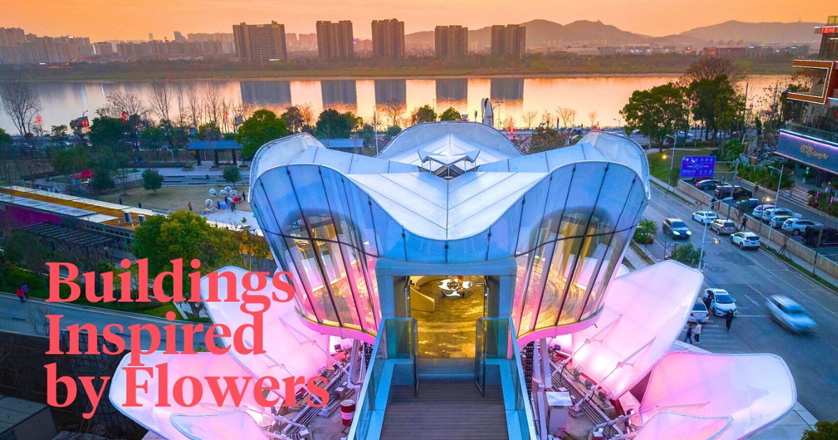 Lotus building in China