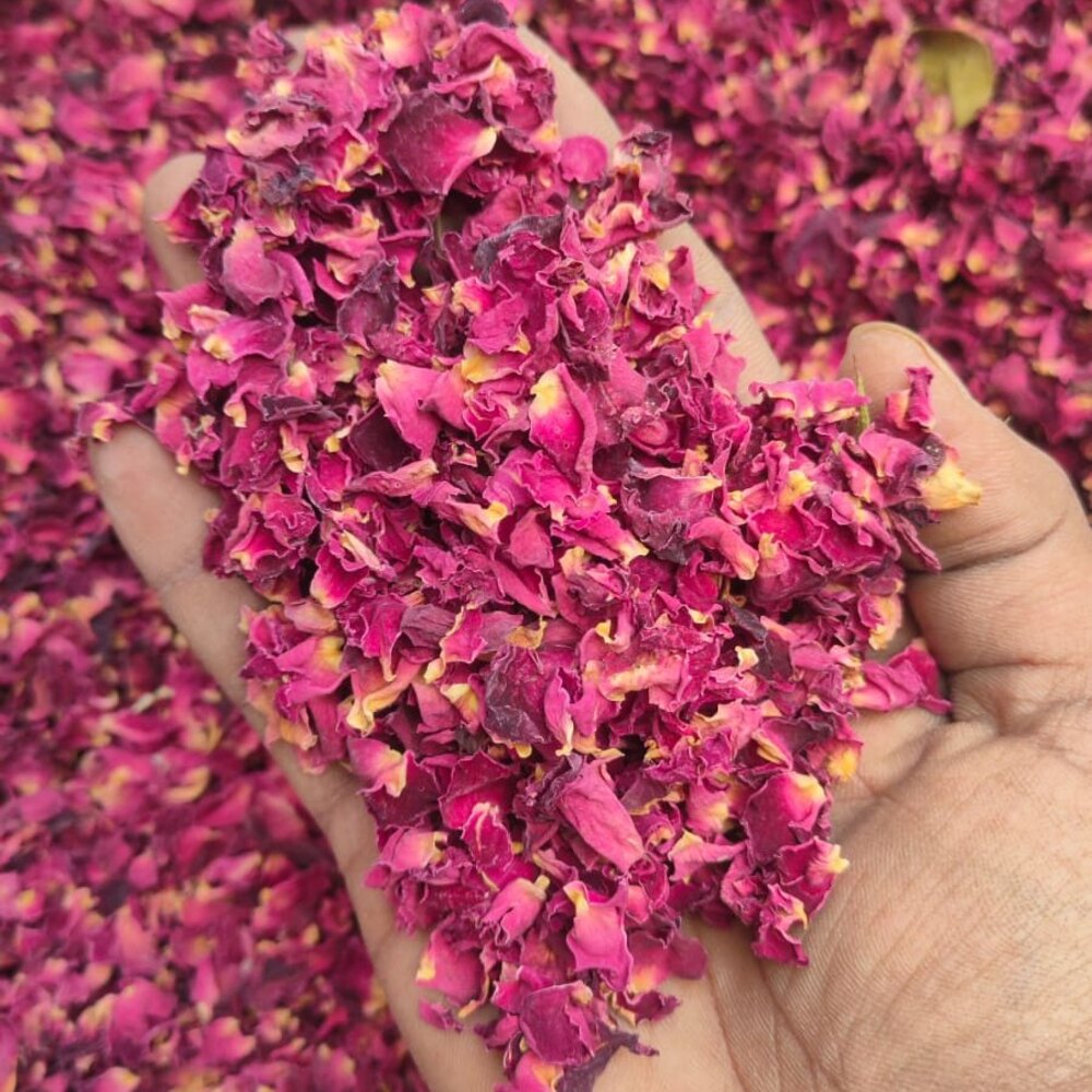 Dry red rose petals 