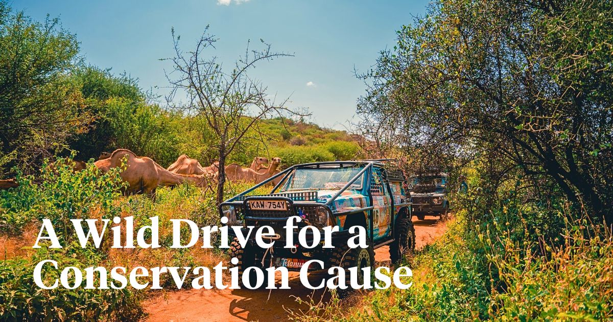 Rhino Charge: An Exhilarating Race for Environmental Conservation