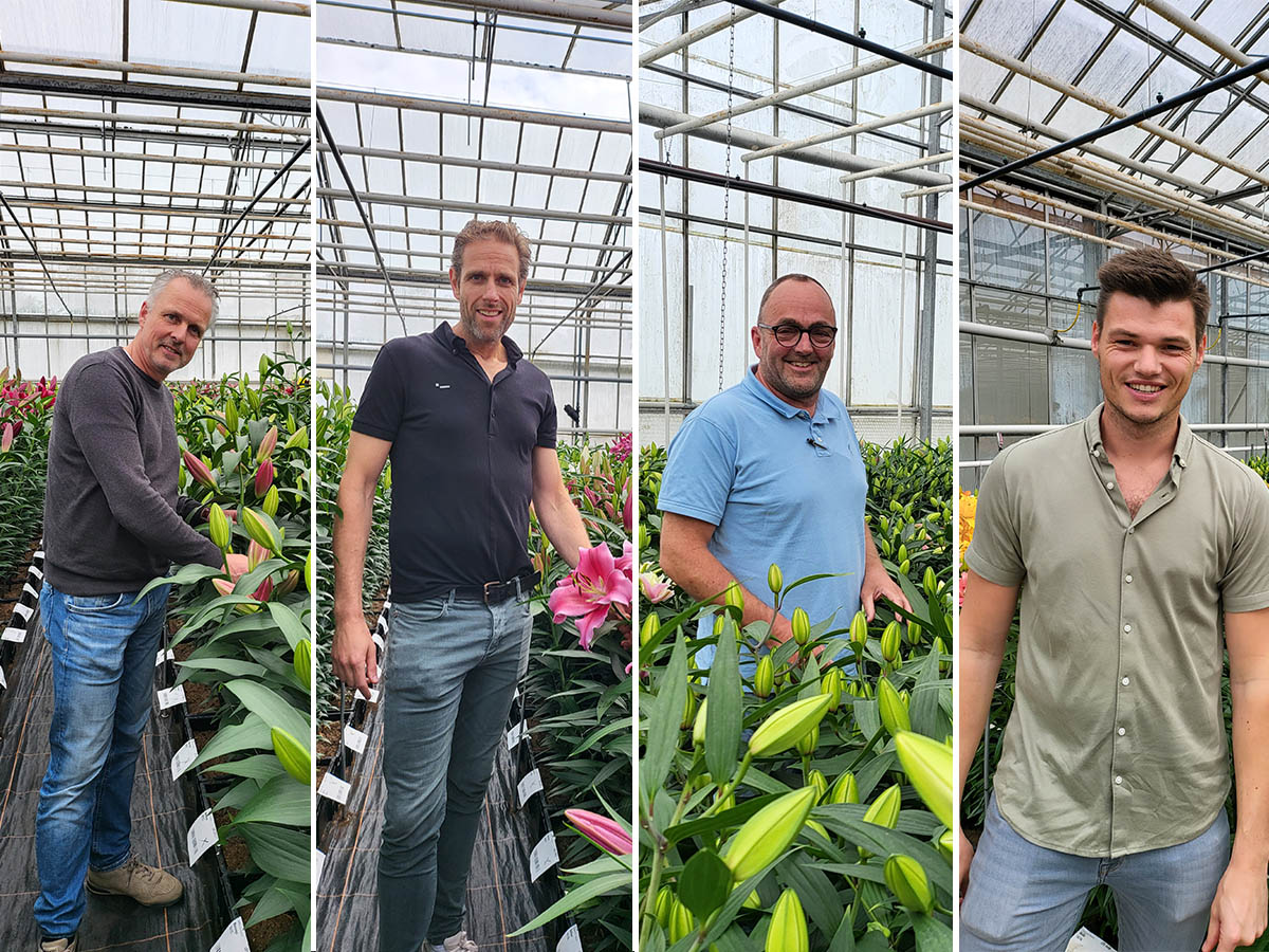 Four Lily Growers Love for Lilies
