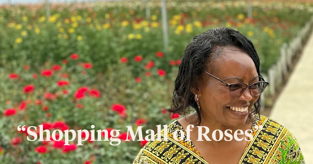 Shopping Mall for Rose Growers