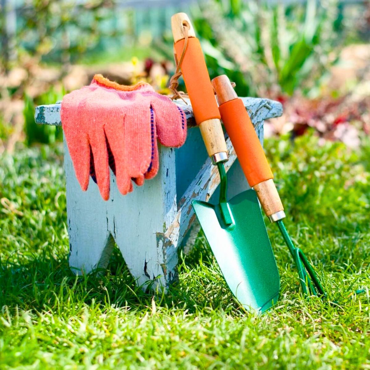 Tools for gardening weeding