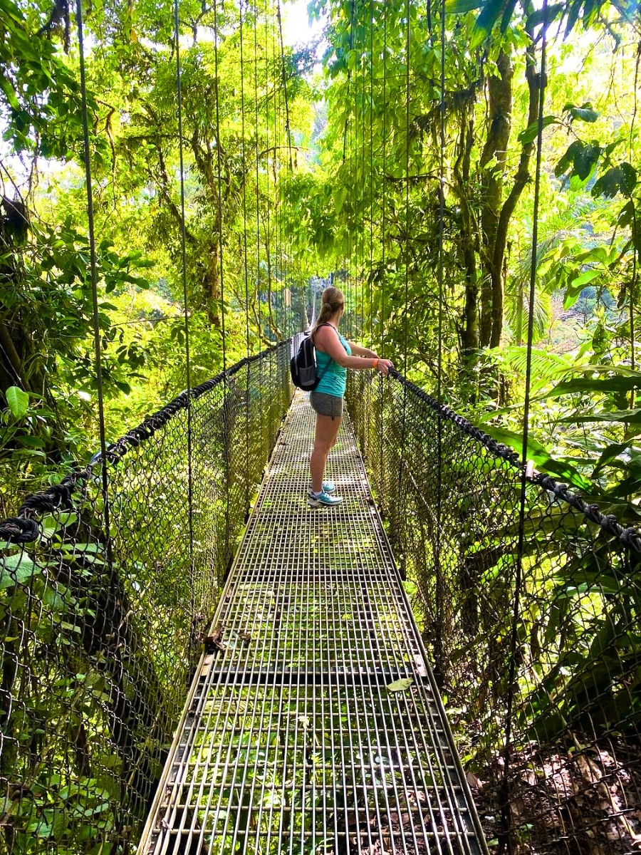 Hanging bridge in Costa Rican rainforest