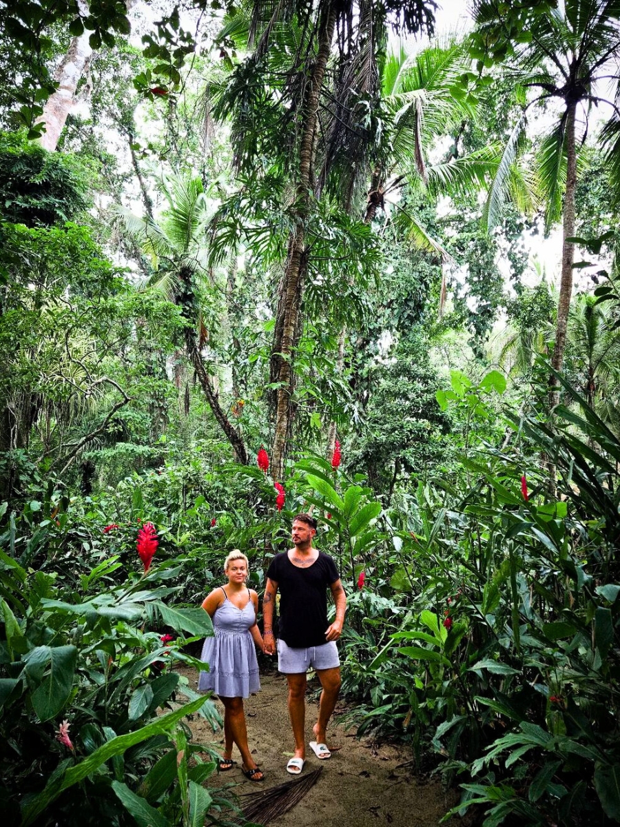 Roaming around a rainforest