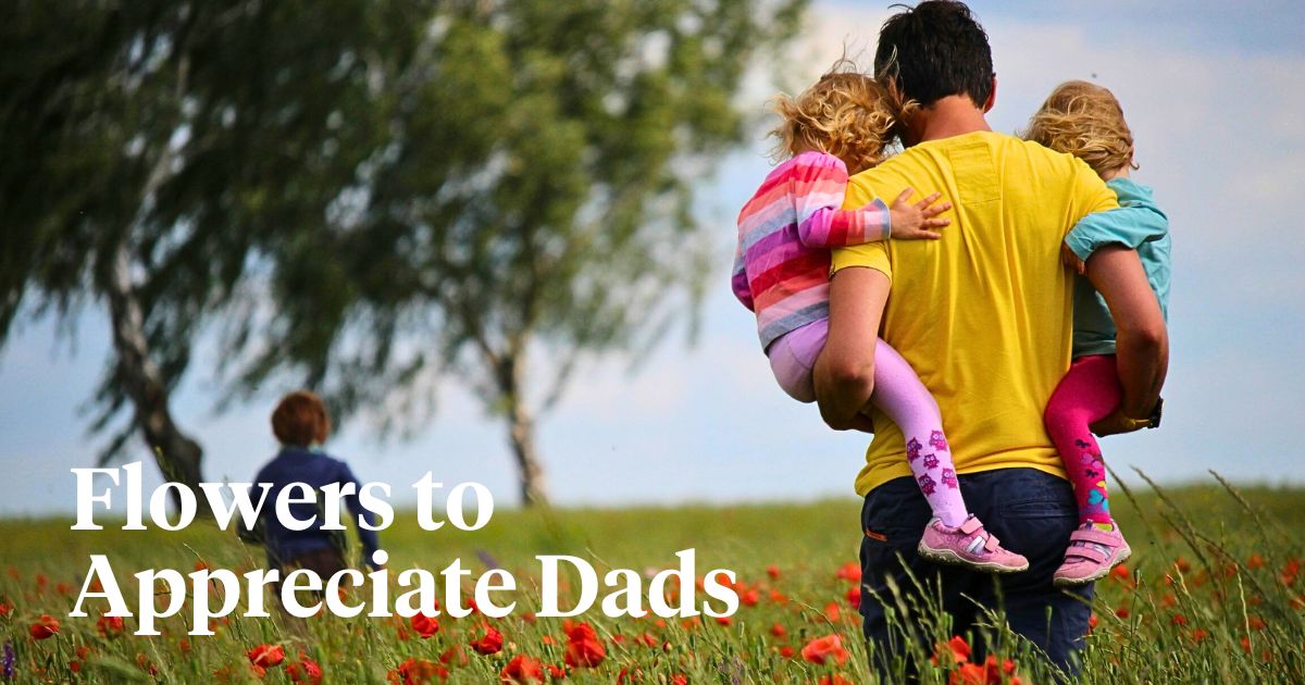 These are the Best Flowers to Present on Father's Day