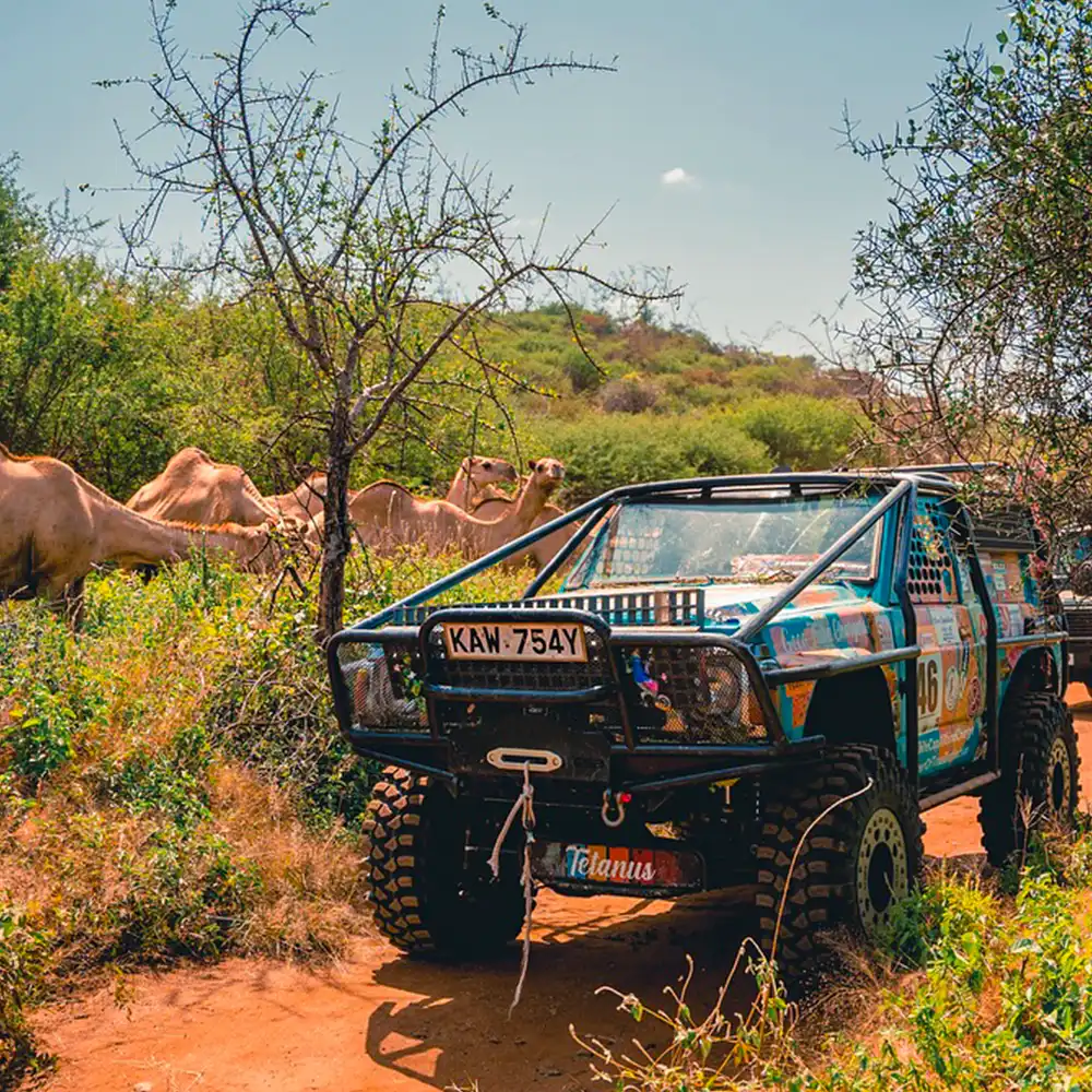Rhino Charge: An Exhilarating Race for Environmental Conservation