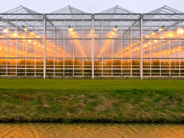 Climate Positive in 2030 With the Horti Footprint Programme nursery
