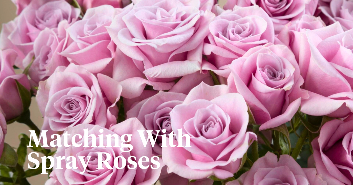 Let Your Personality Bloom and Match With This Spray Rose Collection