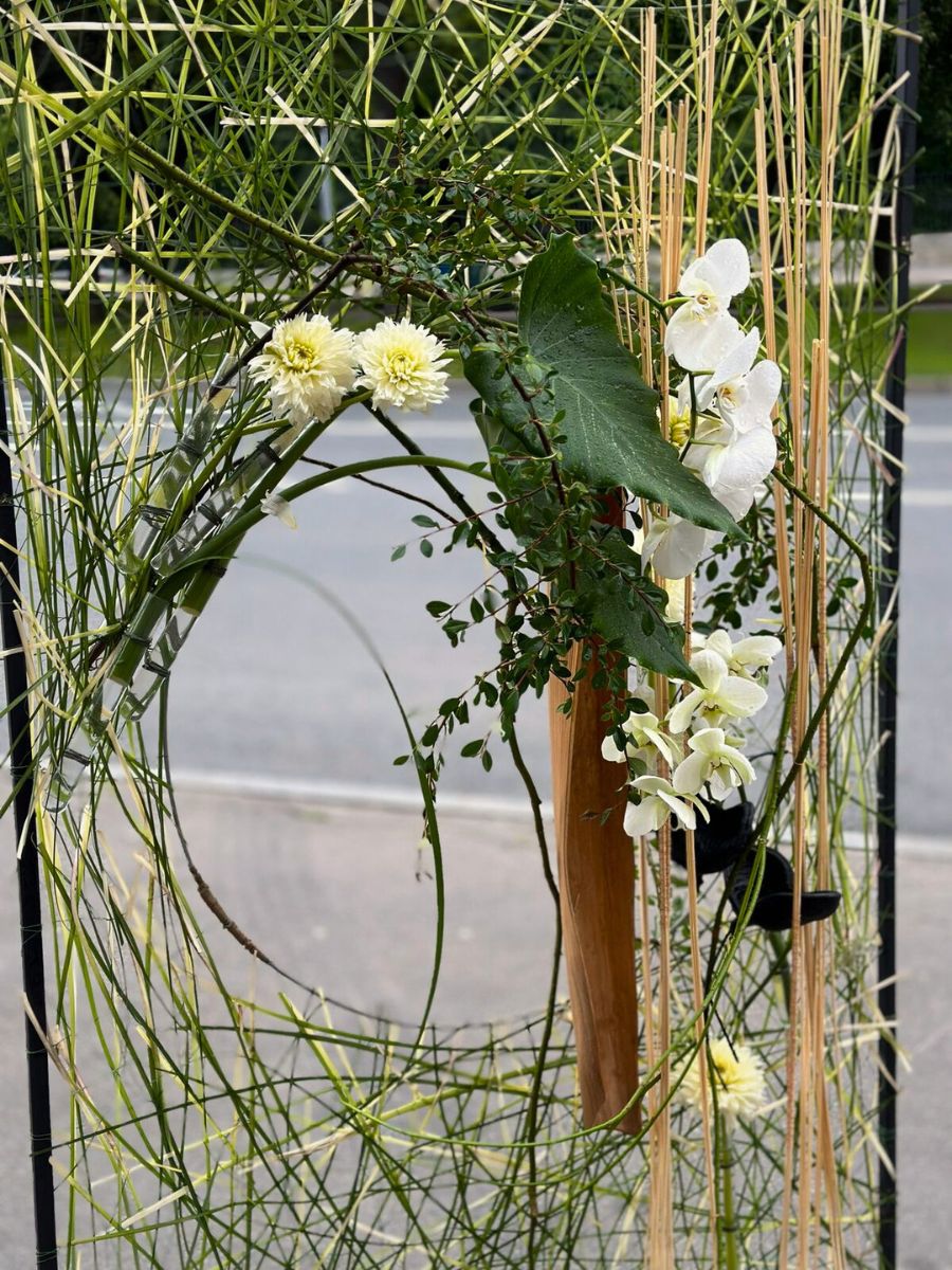 A Window With Lily Grass