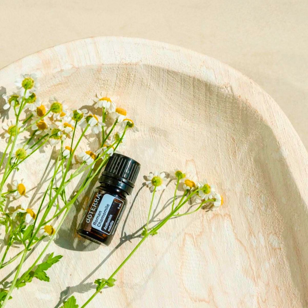 Chamomile oil by Doterra