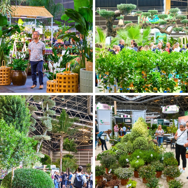Greenery and plant landscapes at Iberflora