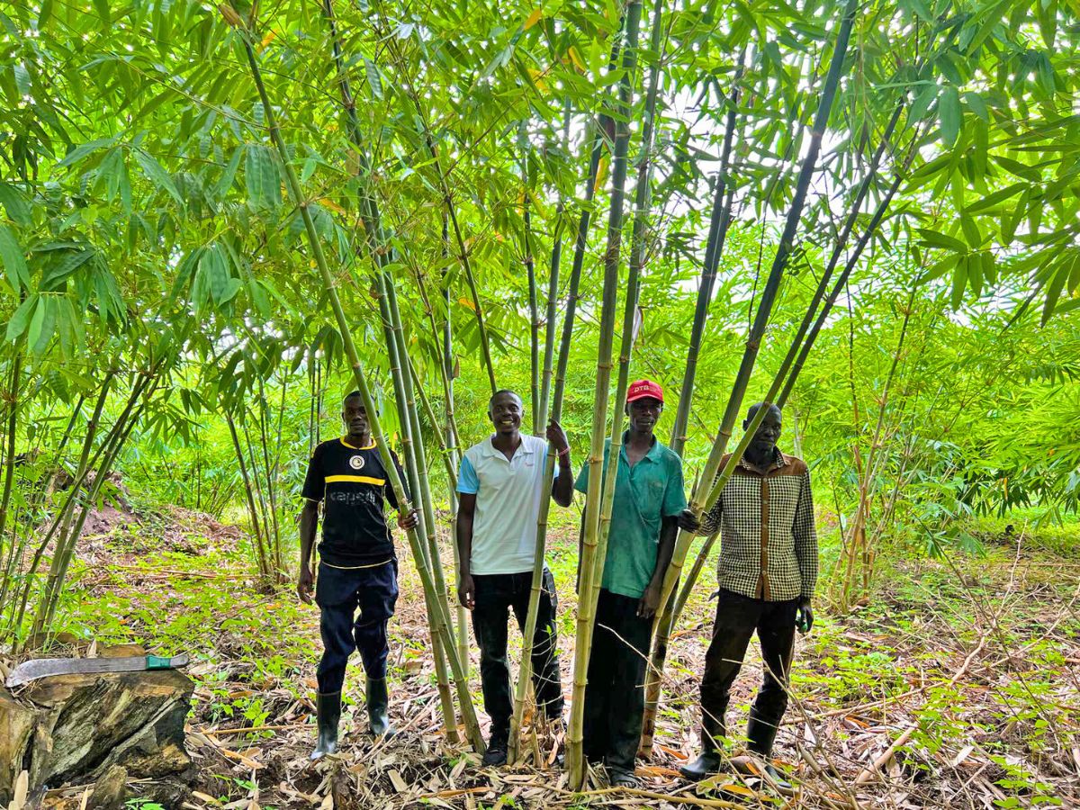 ​Bamboo Village Uganda: A Comprehensive Approach Beyond Carbon Compensation