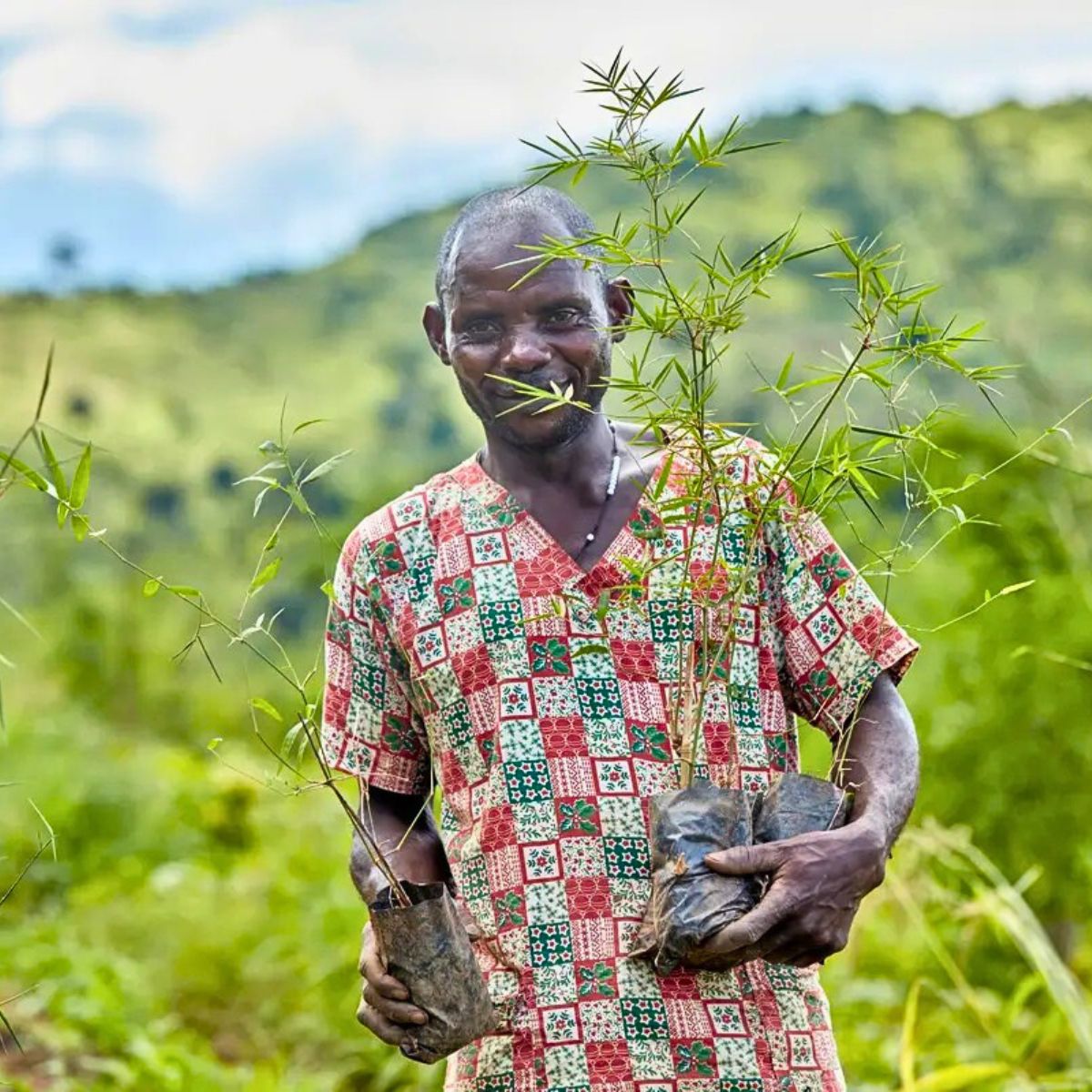 ​Bamboo Village Uganda: A Comprehensive Approach Beyond Carbon Compensation