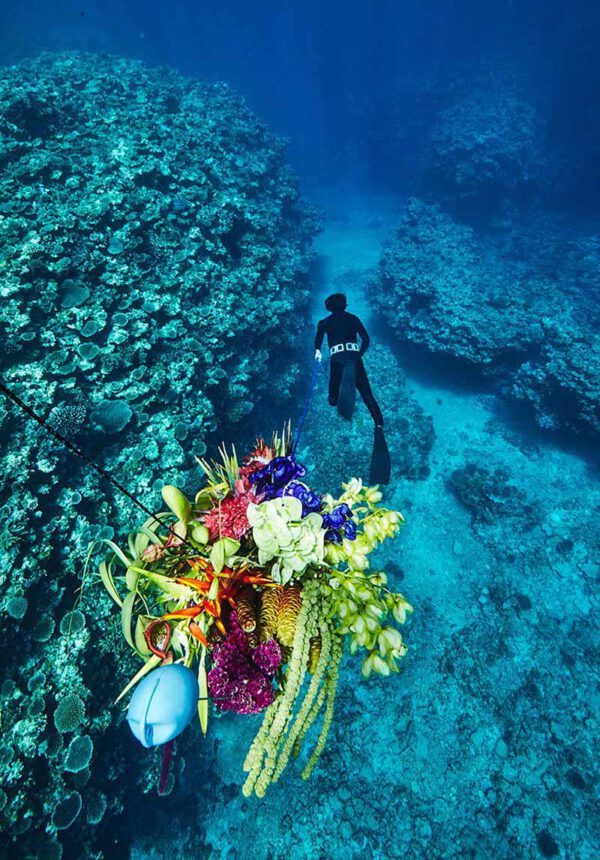 the ties between flower man article photo under the sea on thursd