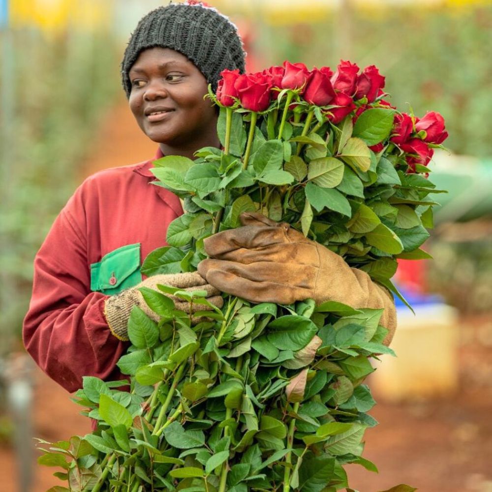 Kikwetu Flowers