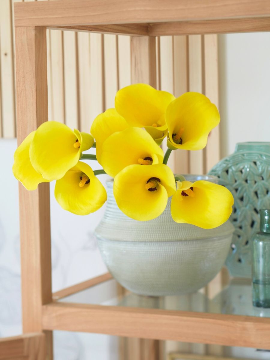 Yellow callas in a vase for indoor decor