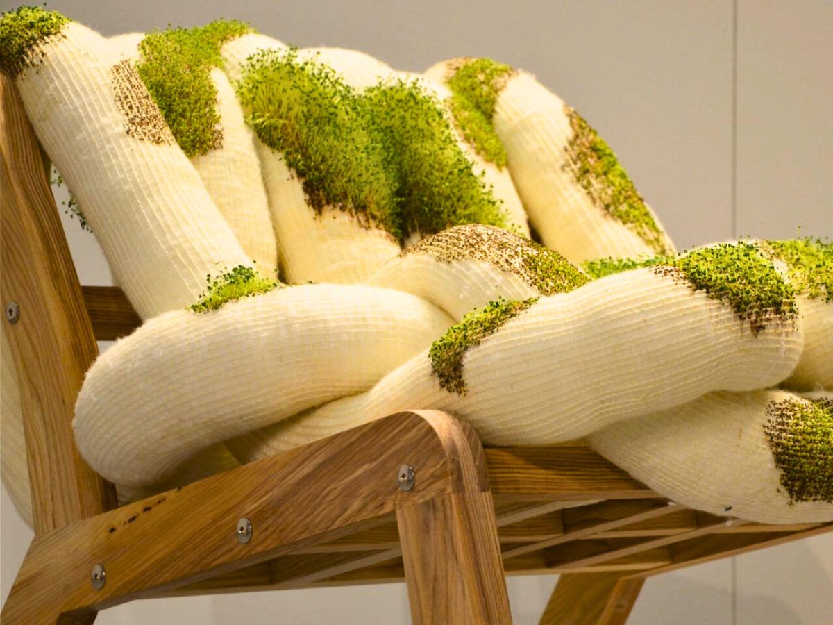 The curious design of the Chia Chair
