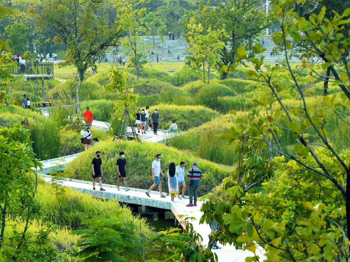 People walking through greenery in the park