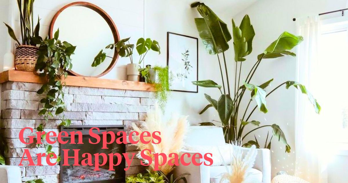 Green spaces in interior decoration