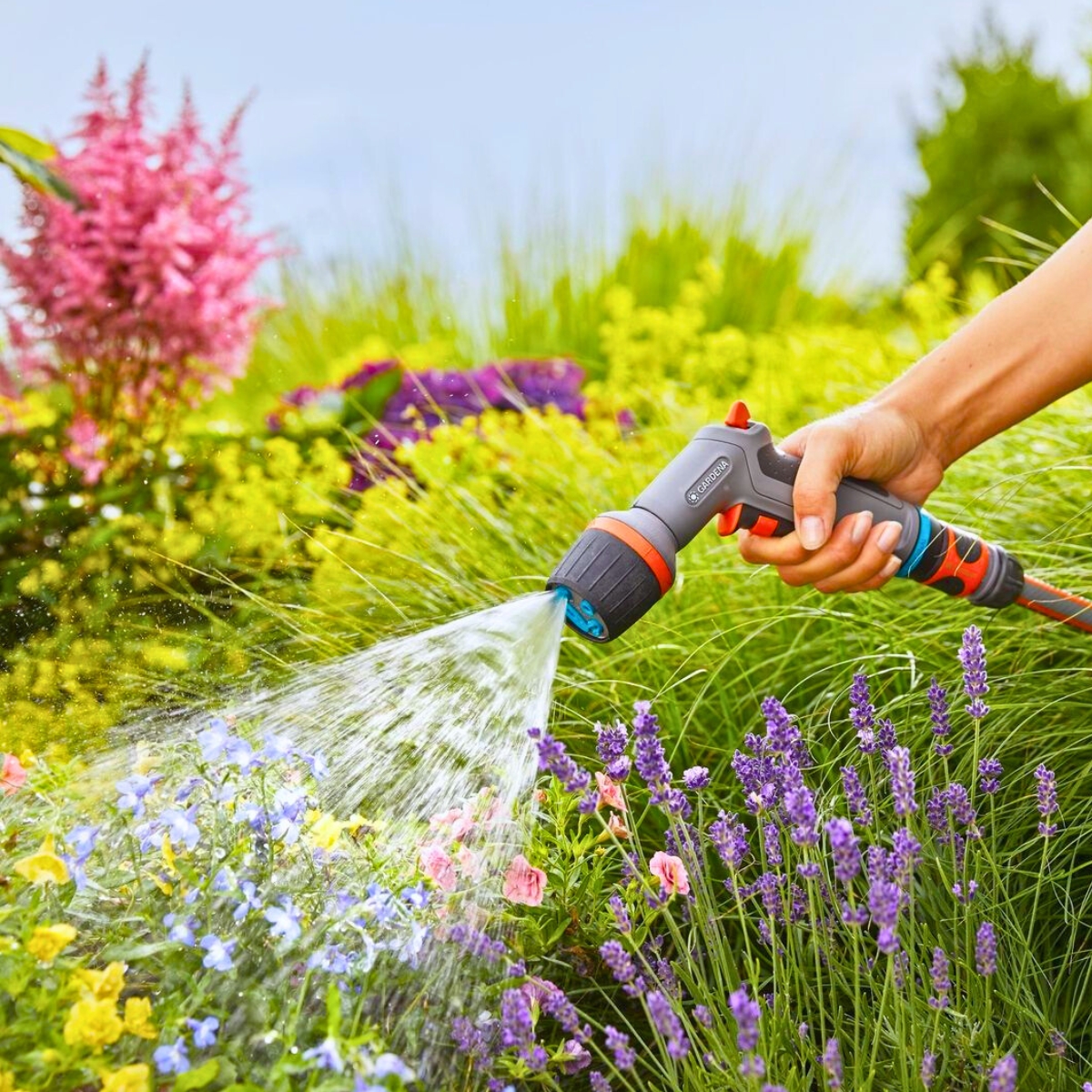 Watering a group of colorful flowers in a garden
