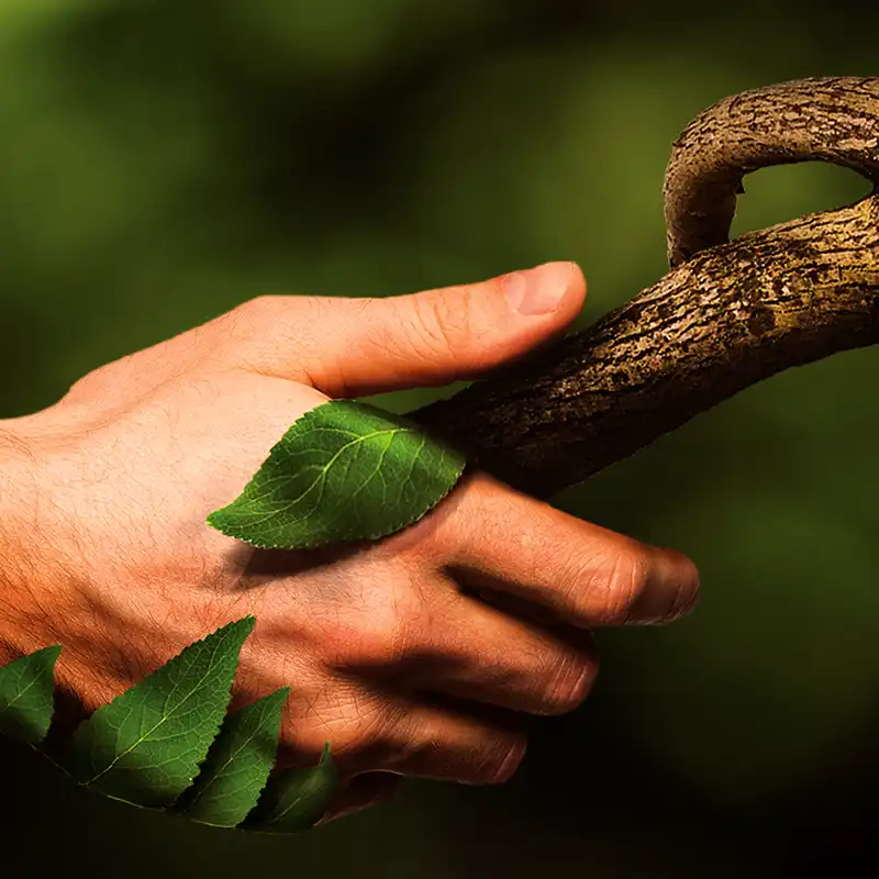 Landscape Istanbul Fair handshake