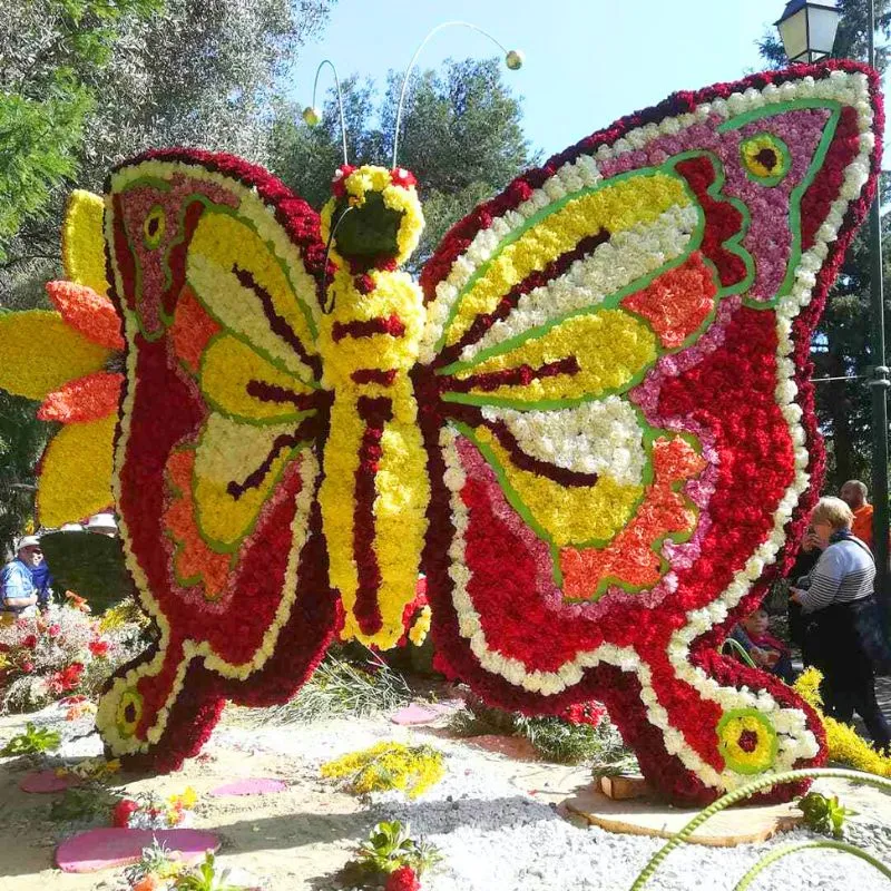 Corsos are elaborate floats adorned with flowers, fruits and vegetables.