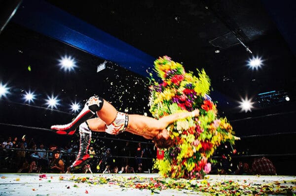 the ties between flower man article photo wrestling on thursd
