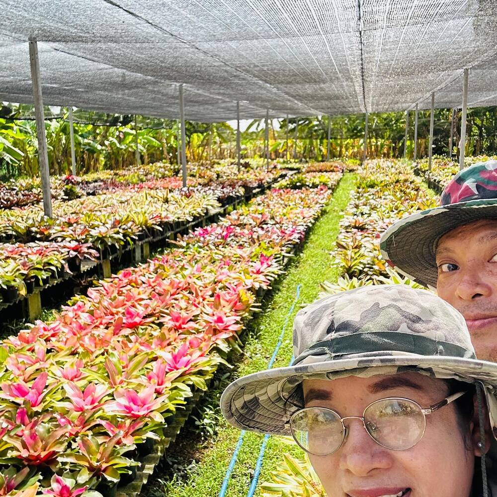 Couple with bromeliad plant feild