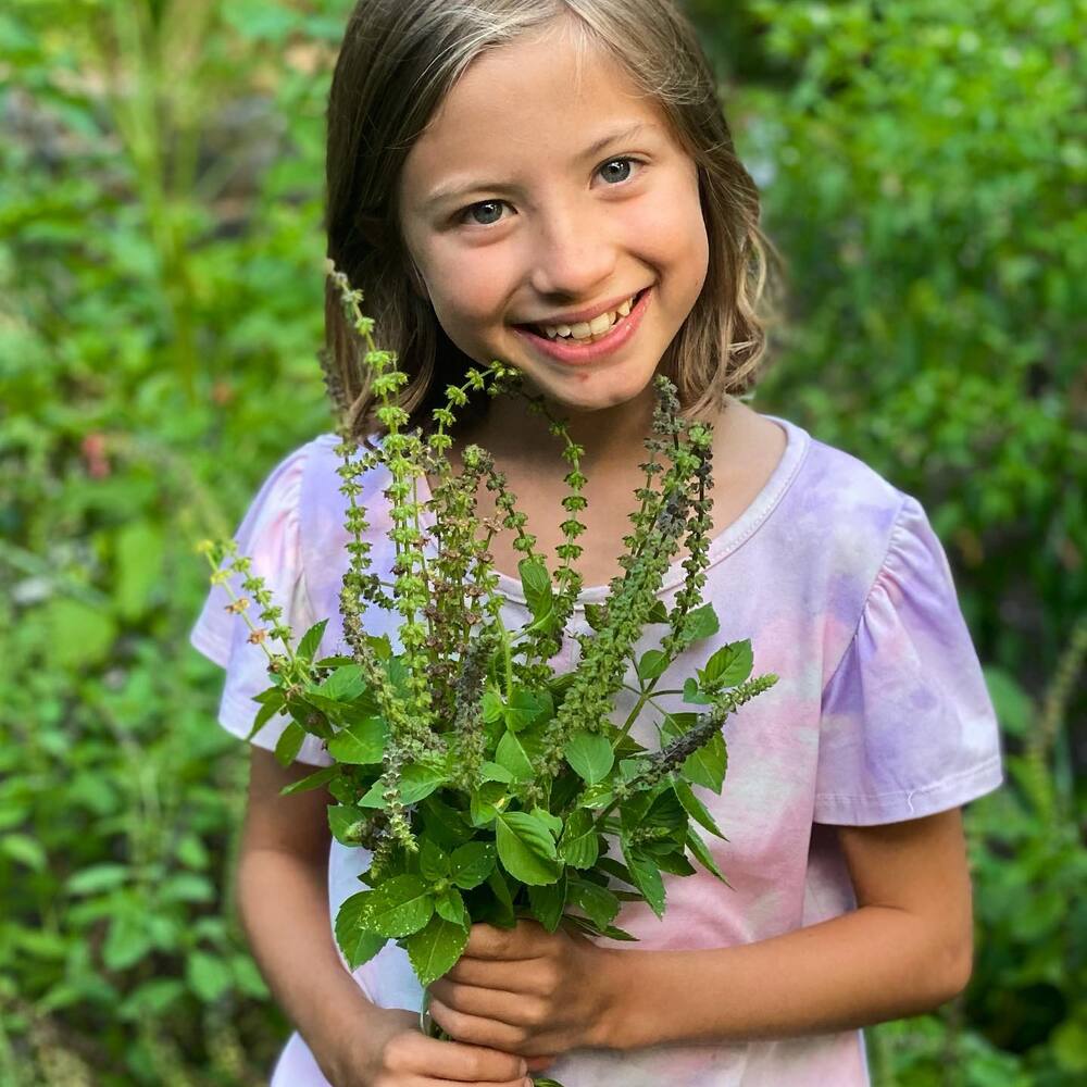 Girl holding Tulsi plant