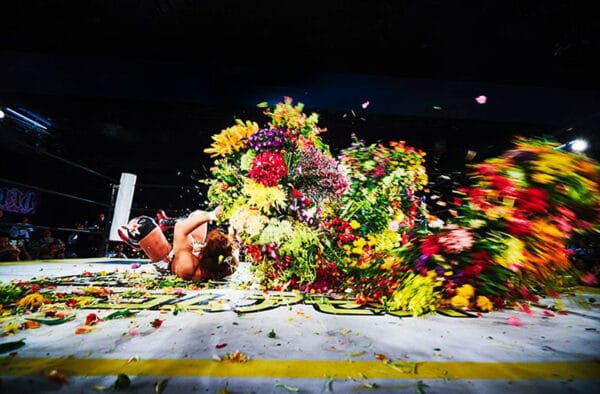 the ties between flower man article photo wrestling with flowers on thursd