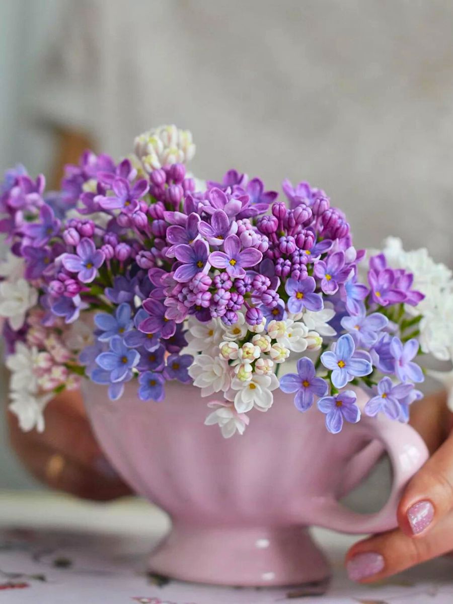 Realistic looking purple and white clay lilacs