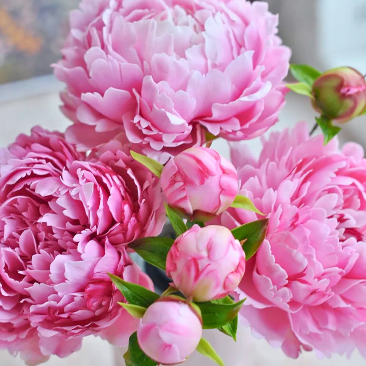 Pink clay peonies by Julia Oleynik