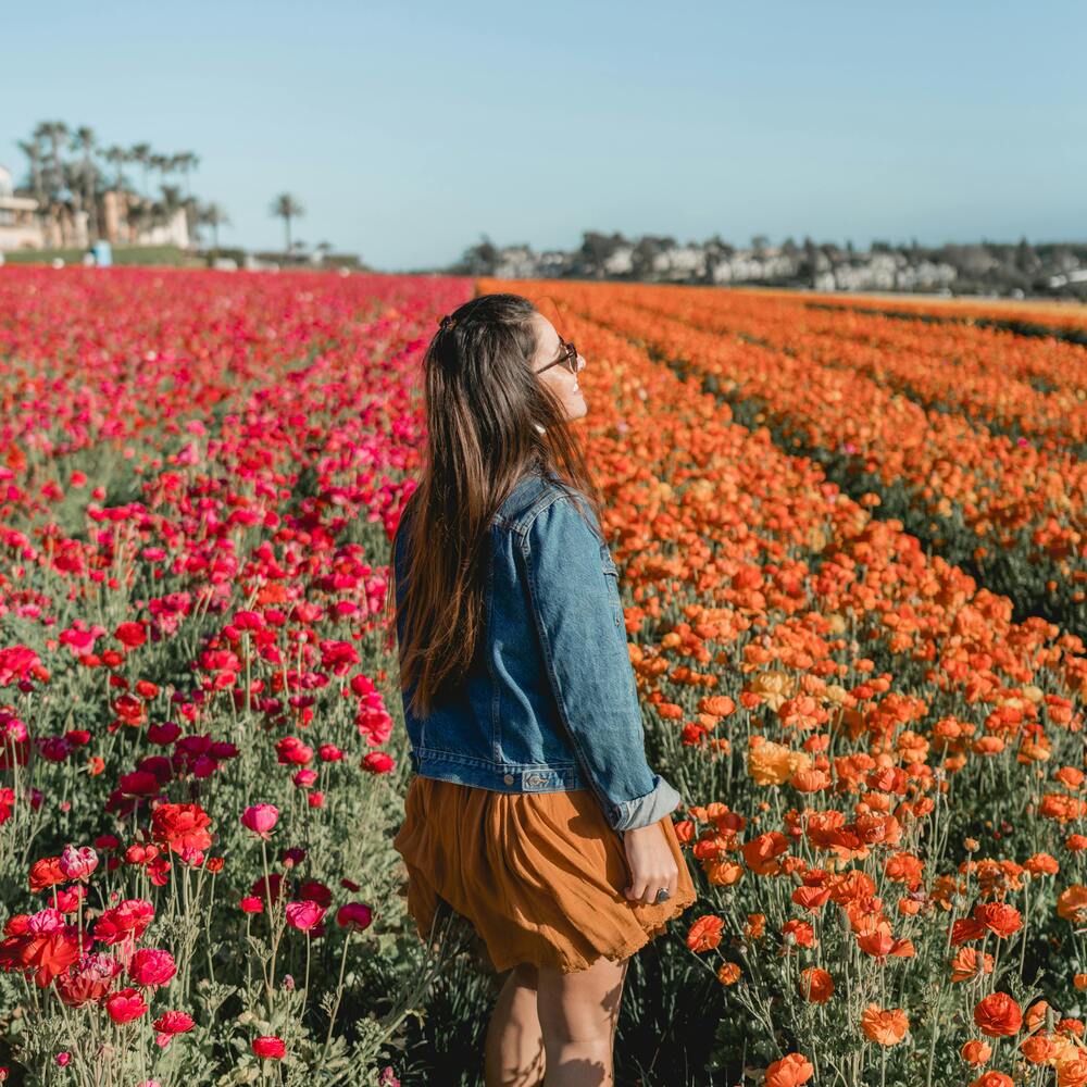 Girl at Amazing flower field 