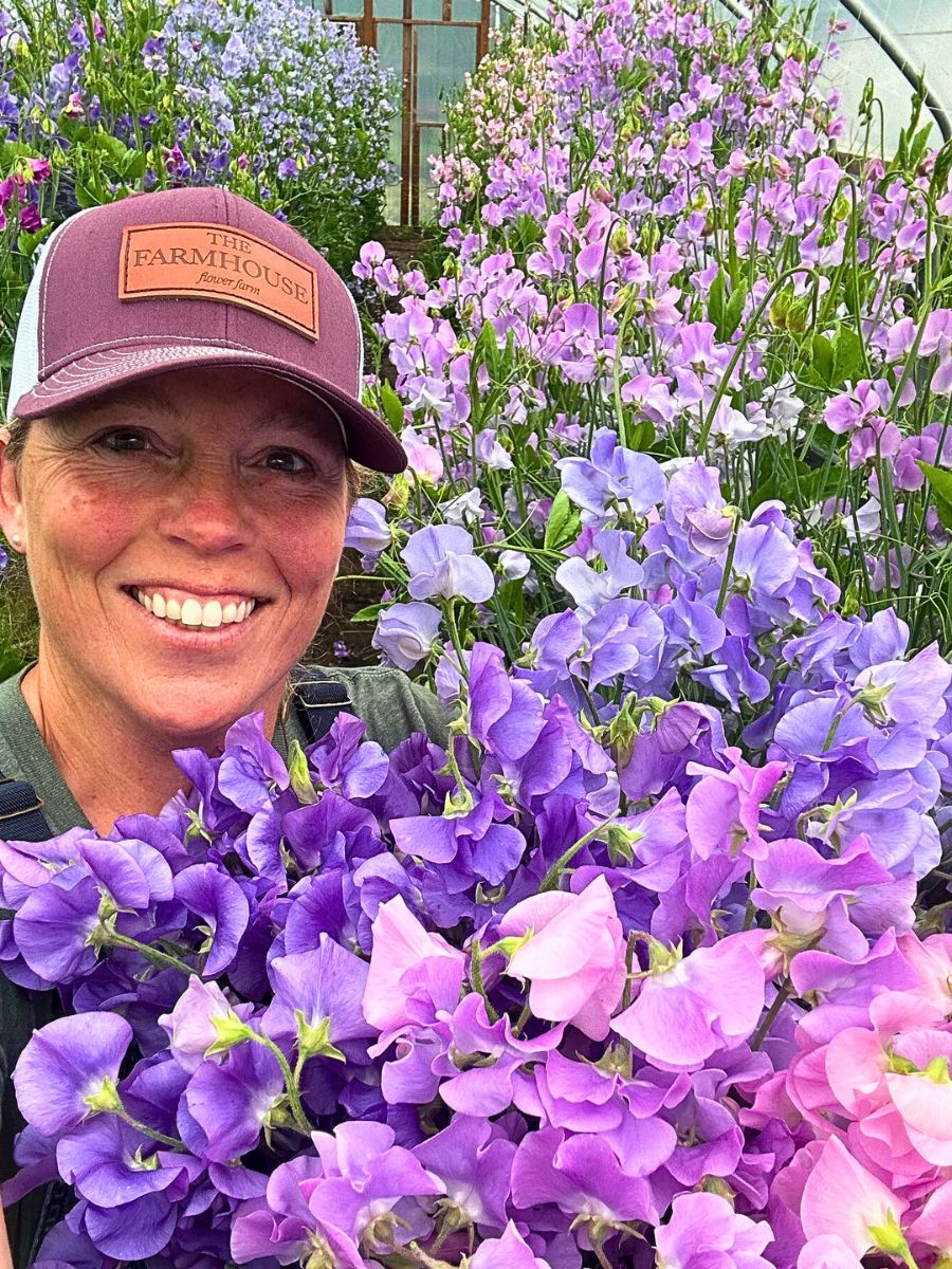 Classic Summer Flowers for Planting and Pot