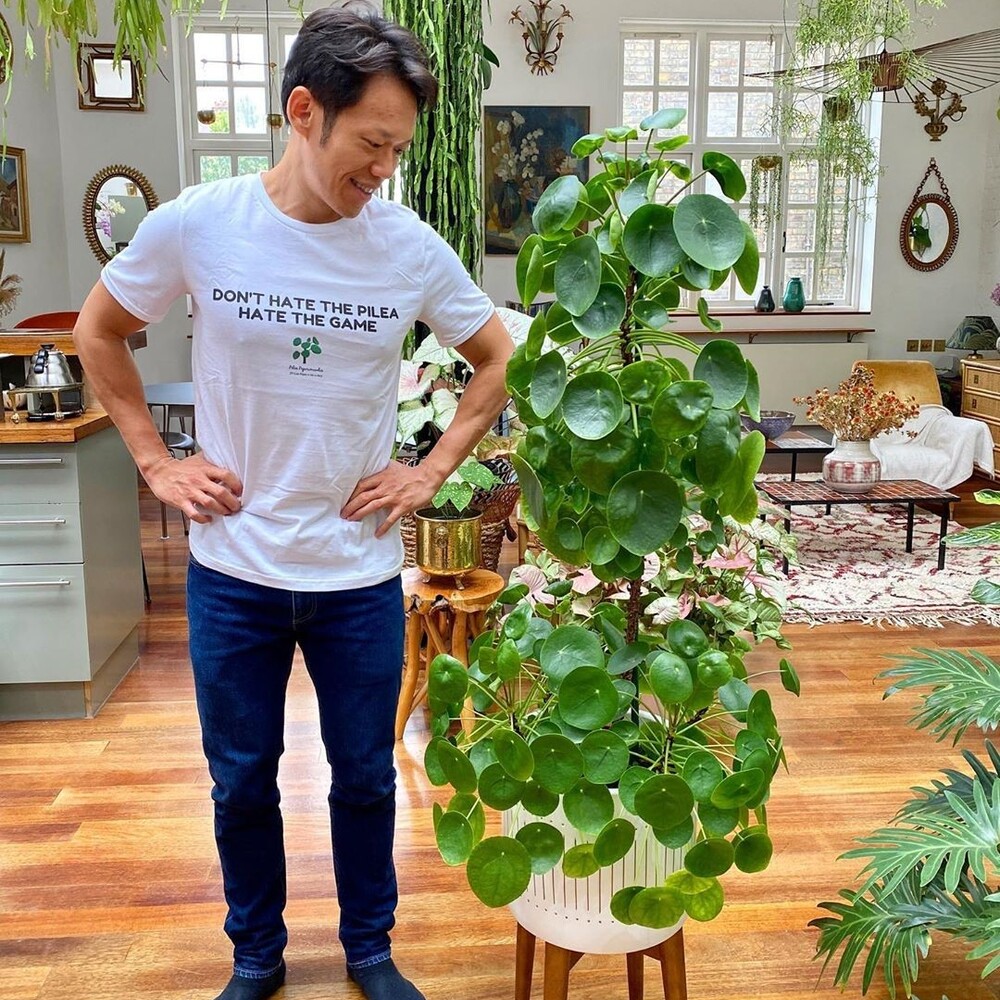 men showing love toward Chinese Money Plant