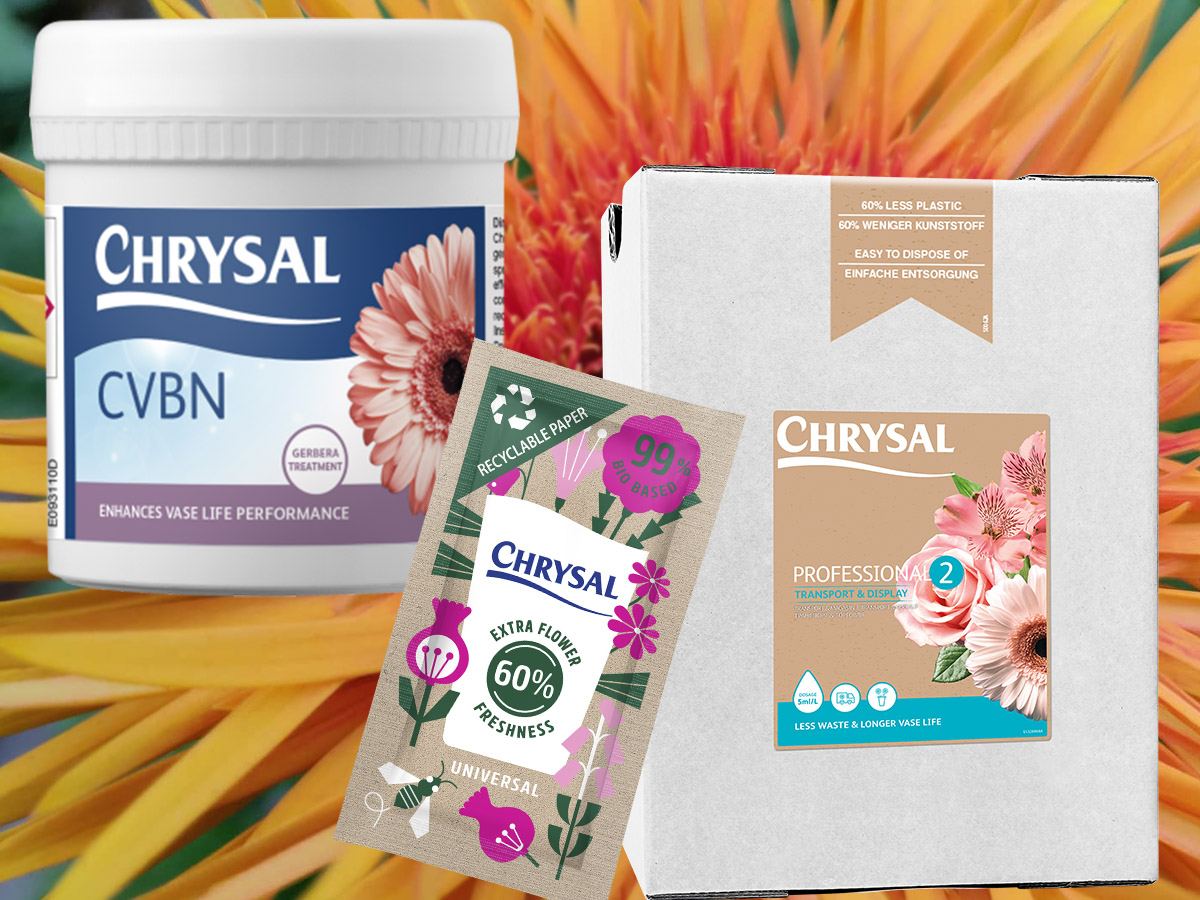 Chrysal solutions for Gerberas