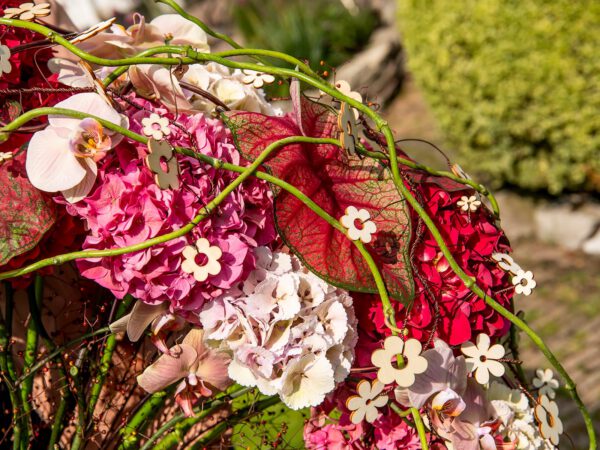 Hanneke Frankema With Classic Hydrangeas pink