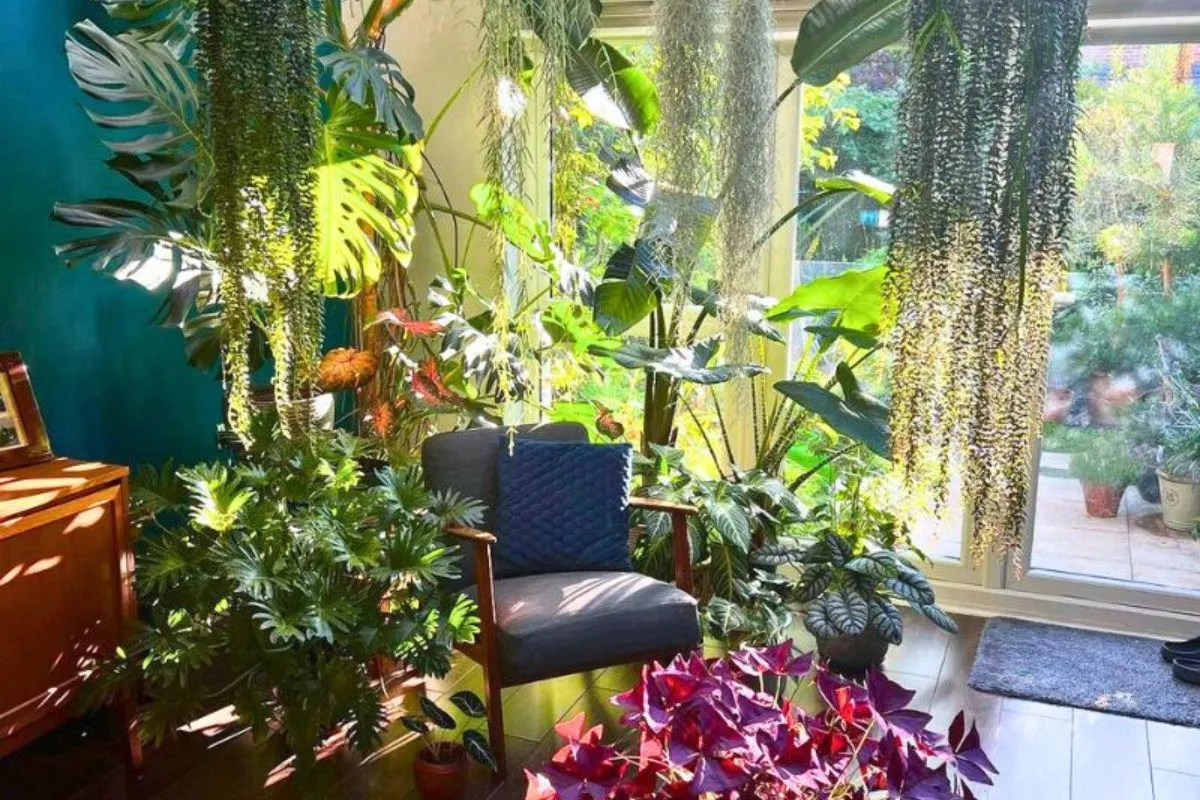 Interior decoration with plants