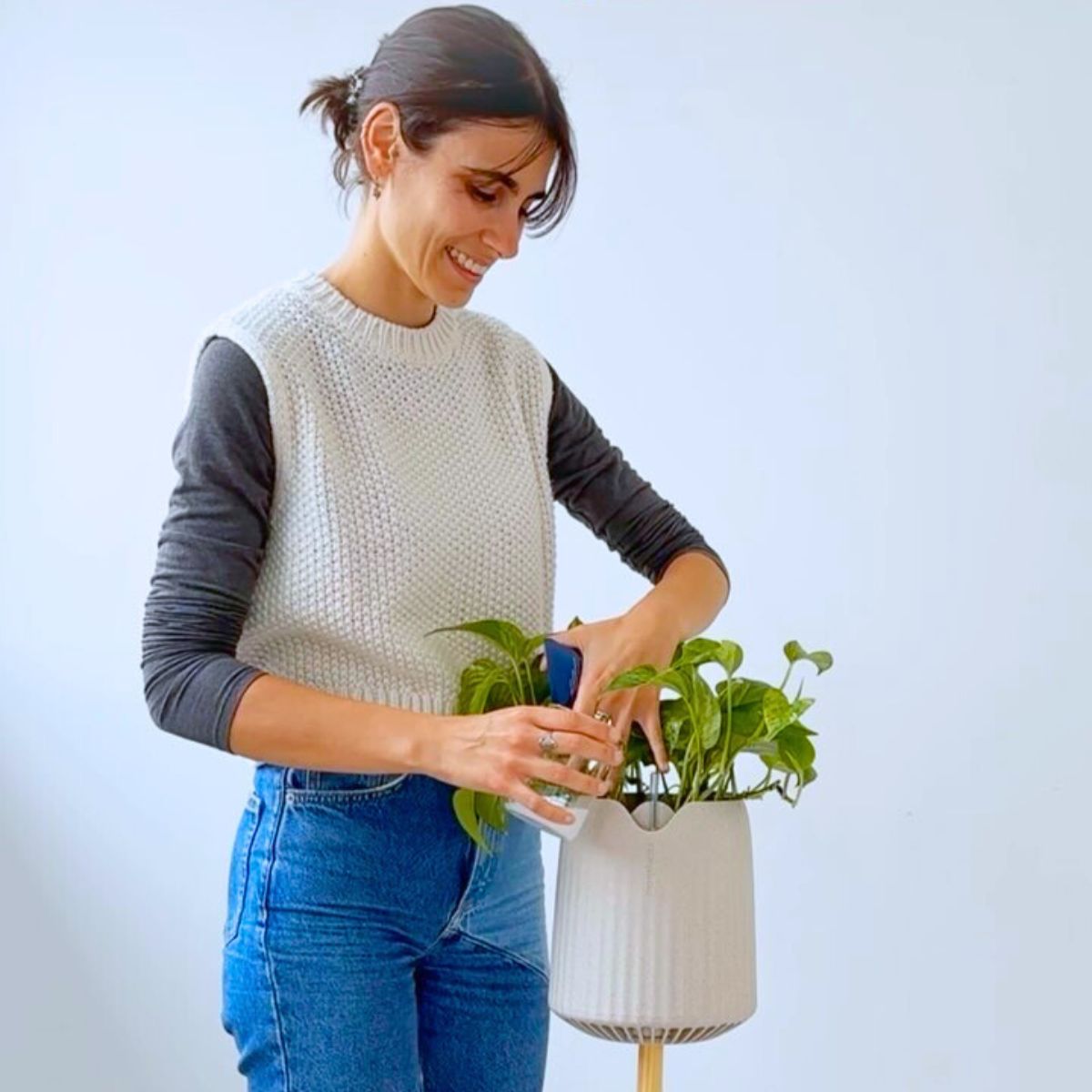 Neo Px, the Air-Purifying Houseplant From Neoplants