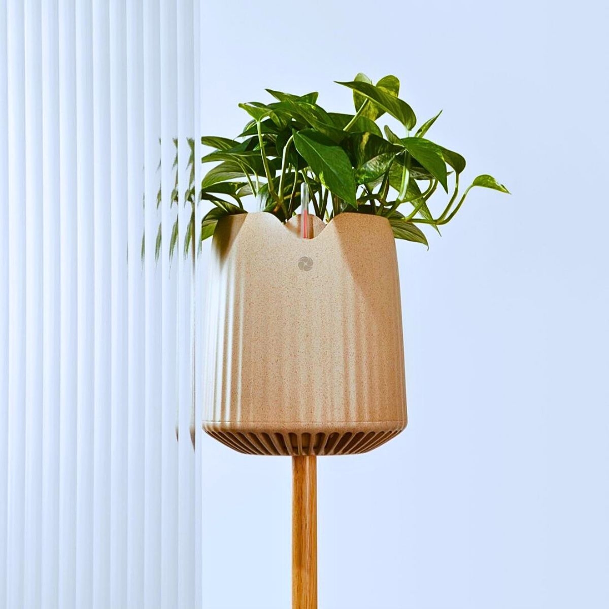 ​Neo Px: The Air-Purifying Houseplant by Neoplants