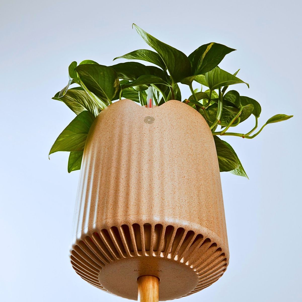 ​Neo Px: The Air-Purifying Houseplant by Neoplants