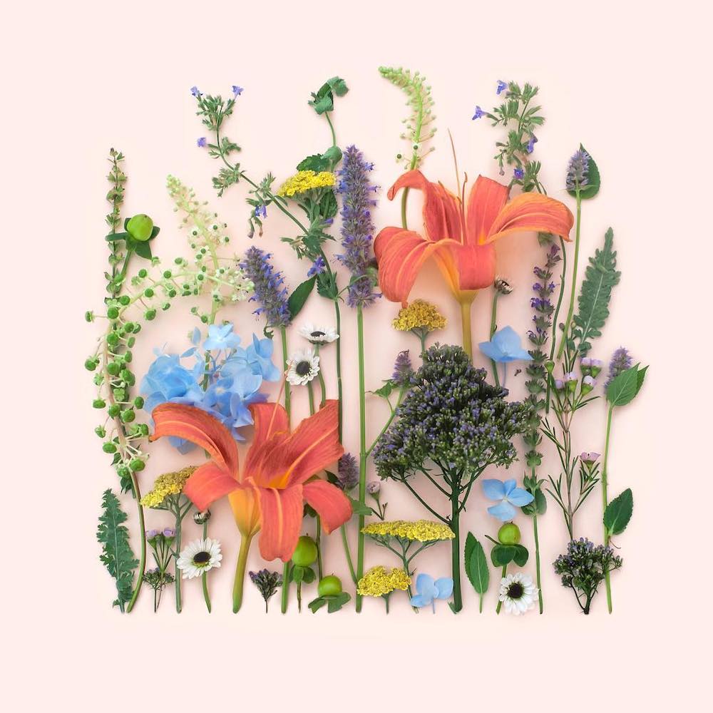 Kristen Meyer Creates Geometric Flat Lays Using Everyday Objects Floral Art
